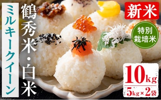 i1192 <数量限定!新米> 令和7年産 鶴秀米 ミルキークイーン 白米 (5kg×2袋・10kg) 特別栽培米 米 玄米 お米 10kg 国産 ミルキークイーン 新米 おにぎり ごはん 【GOOD TIME】鹿児島県出水市32000米