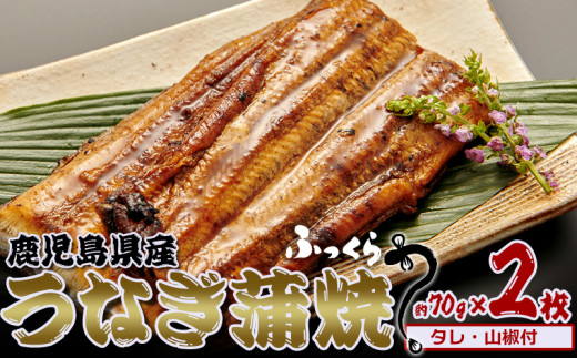 鹿児島県産 うなぎ蒲焼 約70g×2枚【タレ・山椒付】鹿児島県龍郷町17000魚介・海産物うなぎ