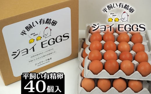 奄美大島の平飼い有精卵 40個入り鹿児島県龍郷町17000卵・乳製品卵(鶏、烏骨鶏等)