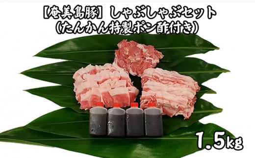 【奄美島豚】しゃぶしゃぶセット1.5kg(たんかん特製ポン酢付き)鹿児島県龍郷町28000肉豚肉