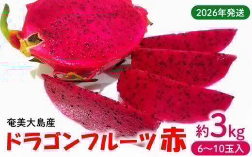 2026年発送【奄美大島産】ドラゴンフルーツ赤 約3kg(6〜10玉入) 鹿児島県 奄美群島 奄美大島 龍郷町 国産 奄美産 青果 果実 果物 くだもの フルーツ デザート ピタヤ 火龍果 南国 トロピカル
