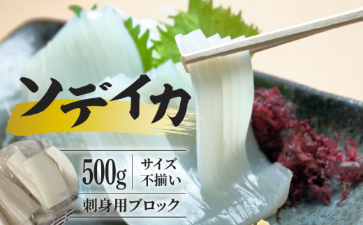 【サイズ不揃い】ソデイカ・刺身用ブロック ?500g/沖永良部島特産 W009-056u鹿児島県和泊町12000魚介・海産物イカ・タコ・ウニ