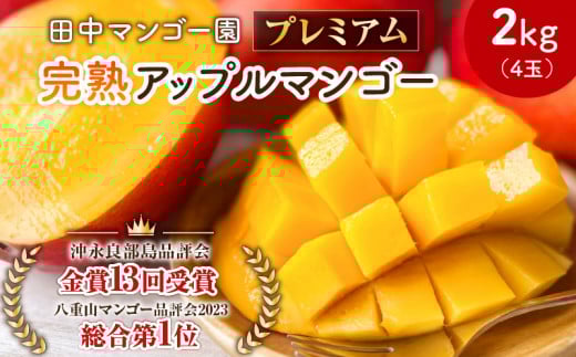 【2026年先行予約】田中マンゴー園のプレミアム完熟アップルマンゴー2kg(4玉)  W001-012u鹿児島県和泊町40000果物・フルーツマンゴー・パイナップル