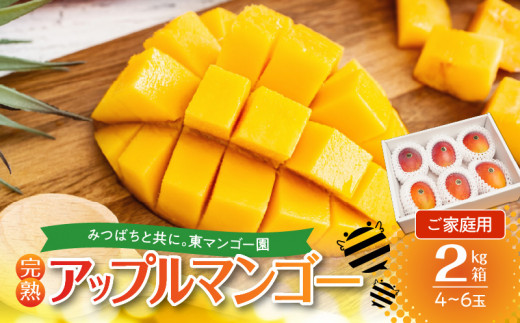 【2026年先行予約】≪ご家庭用≫東マンゴー園直送!完熟アップルマンゴー 2kg(4〜6玉) W014-010u鹿児島県和泊町24000果物・フルーツマンゴー・パイナップル