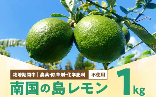 ■【先行受付】栽培期間中 農薬・除草剤・化学肥料不使用!南国の島レモン 1kg!【2025年9月〜2026年2月下旬お届け】 W043-005u鹿児島県和泊町10000果物・フルーツその他 果物・フルーツ