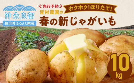【2026年先行予約】皆村農園のホクホク!ほりたて!春の新じゃがいも 10kg【1月下旬〜4月下旬】 W035-001鹿児島県和泊町13000野菜・きのこじゃがいも・イモ類