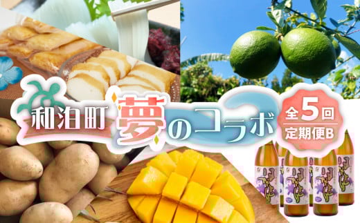 【ふるさと納税】 和泊町「夢」のコラボ【5回】定期便B W034-002u鹿児島県和泊町110000野菜・きのこじゃがいも・イモ類