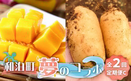 【ふるさと納税】和泊町「夢」のコラボ【2回】定期便C W034-003u鹿児島県和泊町24000野菜・きのこじゃがいも・イモ類