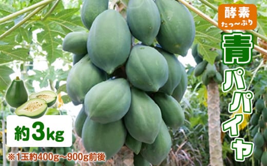 酵素たっぷり「青パパイヤ」3kg W009-065-01鹿児島県和泊町12500野菜・きのこその他 野菜