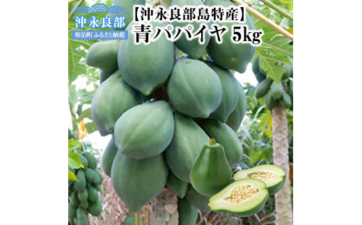 yfՂuppCv5kg@W009-066a11500؁Ê̑ 