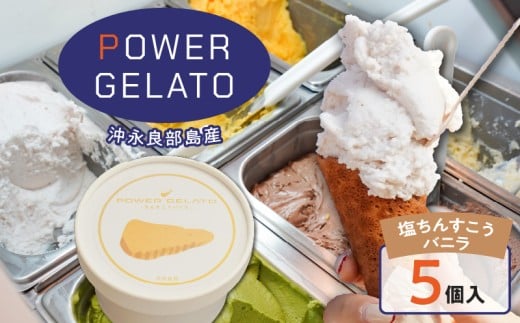 POWER GELATO 沖永良部島産(塩ちんすこうバニラ)90ml×5個入り W066-004-01鹿児島県和泊町15000菓子・スイーツアイス・ジェラート