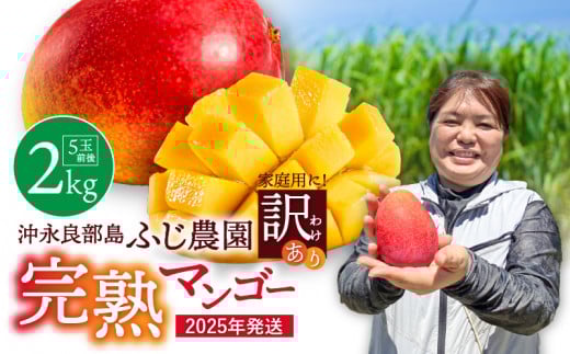 【2026年先行予約】【訳あり】おいしさそのまま!ふじ農園の完熟マンゴー2kg C031-003鹿児島県知名町22000果物・フルーツマンゴー・パイナップル