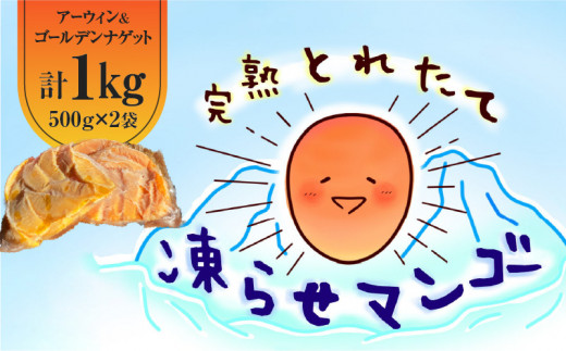 完熟とれたて凍らせマンゴーセット(アーウィン・ゴールデンナゲット) C063-001鹿児島県知名町24000果物・フルーツマンゴー・パイナップル