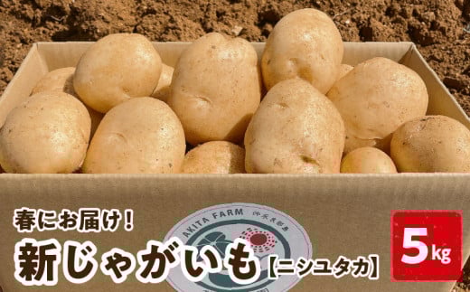 【2026年先行予約】新じゃがいも ニシユタカ5kg 2月お届け C056-004-01鹿児島県知名町12000野菜・きのこじゃがいも・イモ類