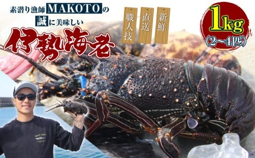 素潜り漁師MAKOTOの誠に美味しい伊勢海老 1kg(2〜4匹) C074-001鹿児島県知名町32000魚介・海産物エビ