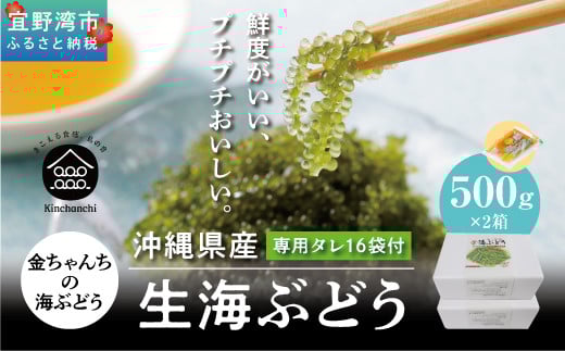 yꌧYzCԂǂ@1kgi500g×2jꌧXps55000ECŶEC