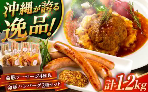 w؃\[Z[W4큕؃no[O2Zbgx ؓ no[O \[Z[W lߍ킹  Y Mtg Ⓚ s / DELICATESSEN NUCHIBUTA [BCAR002]ꌧs88000ؓ
