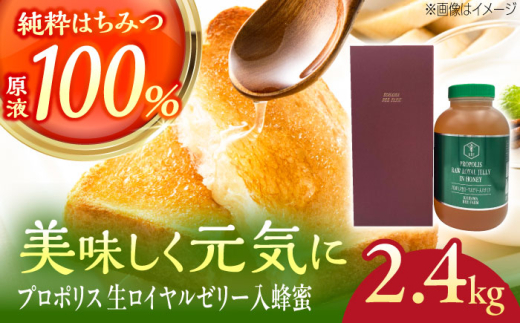 Rn}̃n`~c v|X [[[I 2.4kg×1{ I ݂͂ n`~c Y Mtg N s / _ƐY@lЏl{I [BCAQ008]ꌧs48000ZbgE