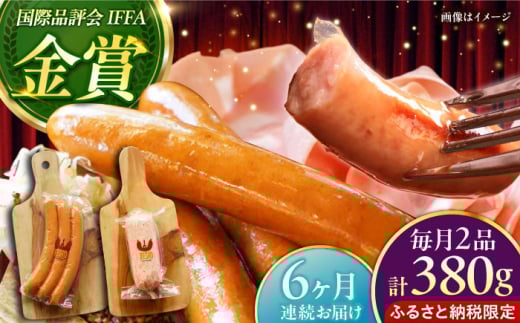 yS6ցzyӂ邳Ɣ[ŌzTESIO̎ƐtN{[jZbg (v380g) ؓ n \[Z[W  ^pbN s / TESIO [BCAD017]ꌧs55000HinE\[