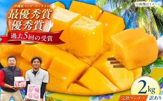 マンゴー 2026 【 先行予約 2026年発送 】【訳あり】仲村農園の完熟アップルマンゴー 2kg まんごー 2026 訳あり 沖縄 マンゴー 先行予約 濃厚 極甘 甘い 極上 あまい 酸味 おいしい 大人気 おすす