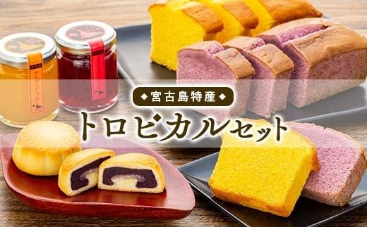宮古島特産トロピカルセット沖縄県宮古島市16000菓子・スイーツケーキ・カステラ