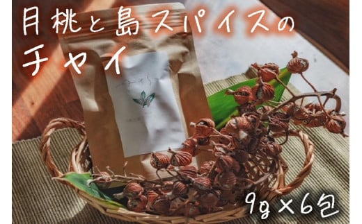 {Ó 䂳с@ƓXpCX̃`Cꌧ{Ós5000E