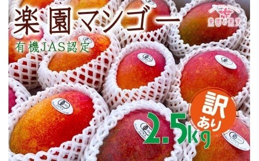 DQ021ss\t2026N L@JASF؃}S[iA[EBj킯 2.5kgyỷʎzꌧ{Ós33000ʕEt[c}S[EpCibv