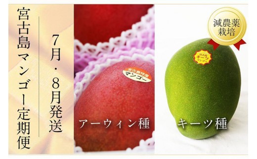 ss\t{ÓY }S[ZbgbA[EBL[cbt[c S2񁃗}VFꌧ{Ós40000ʕEt[c}S[EpCibv