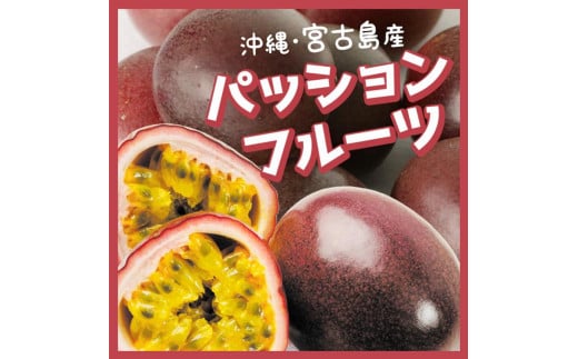 ※品切れ※【今が旬の果物!】完熟 パッションフルーツ(2kg)沖縄県宮古島産沖縄県宮古島市20000果物・フルーツその他 果物・フルーツ