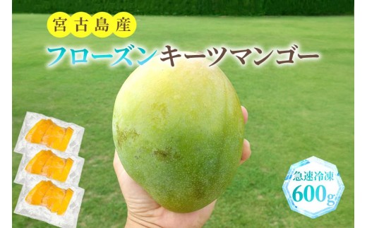 フローズンキーツマンゴー 《急速冷凍》600g(FU007)沖縄県宮古島市20000果物・フルーツマンゴー・パイナップル