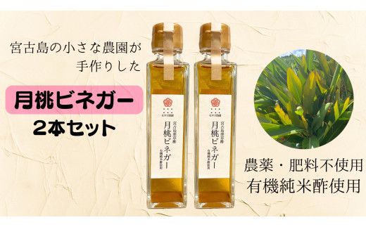 HJ001 月桃ビネガー(150ml×2本)沖縄県宮古島市5000調味料・油酢