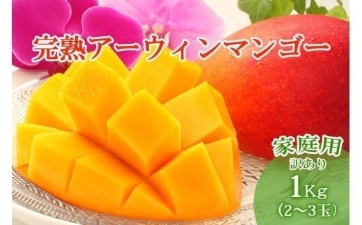 【先行受付】<2026年発送>いらぶ島マンゴー園 宮古島産“完熟アーウィンマンゴー”《家庭用》1kg(HR04)沖縄県宮古島市15000果物・フルーツマンゴー・パイナップル