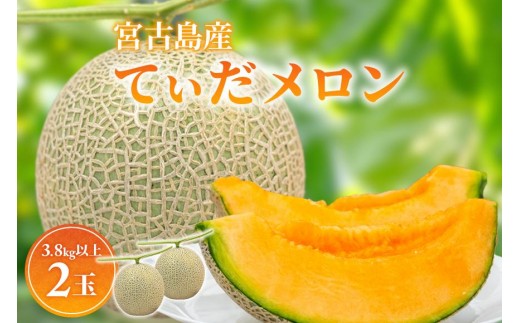 【8farm】宮古島産てぃだメロン2玉(3.8kg以上)《2025年12月〜1月発送》(JC004)沖縄県宮古島市23000果物・フルーツメロン・スイカ