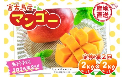 《先行予約 2026年発送》宮古島産マンゴー(2kg×定期便2回)【(株)フラモン】(JH004)沖縄県宮古島市86000果物・フルーツマンゴー・パイナップル