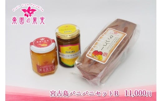 {ÓpjpjZbgB(DQ031)ꌧ{Ós11000َqEXC[c̑ aَq