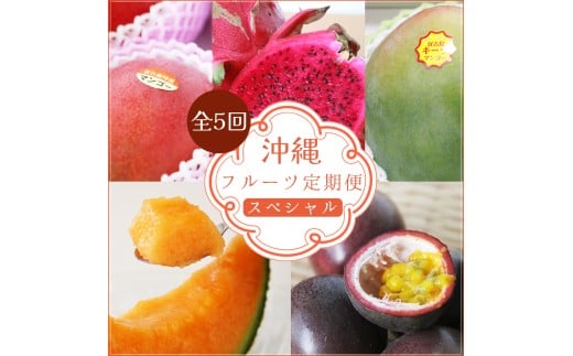 【5回定期便 SPコ ース】フルーツ定期便/メロン ・ パッション ・ マンゴー他<琉球マルシェ>沖縄県宮古島(AR233)沖縄県宮古島市104000果物・フルーツその他 果物・フルーツ
