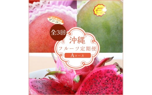 y3ց@AR[Xzt[c/}S[EL[cEhSԁ}VFꌧ{ÓiAR235jꌧ{Ós68000ʕEt[c