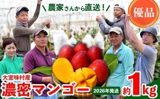 【2026年発送】濃密マンゴー《優品・約1kg》大宜味村農家さんから直送! 優品 先行予約 沖縄 甘味 糖度 濃厚 おいしい お土産 まんごー アーウィン 果物 くだもの 果実  ふるさと納税 1キロ