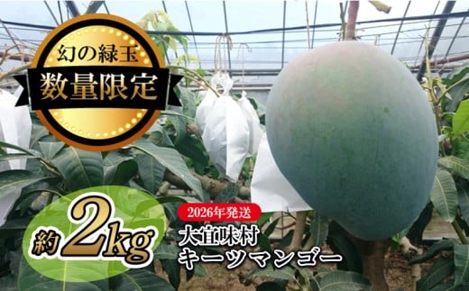 【2026年発送】大宜味村キーツマンゴー約2kg【数量限定】 数量限定 先行予約 沖縄 甘味 糖度 濃厚 おいしい お土産 まんごー キーツ 果物 くだもの 果実  ふるさと納税 2キロ トロピカル 化