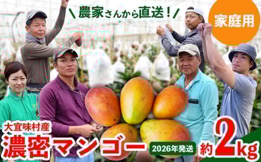【2026年発送】ご家庭用!濃密マンゴー《家庭用・約2kg》農家さんより直送! 家庭用 先行予約 沖縄 甘味 糖度 濃厚 おいしい お土産 まんごー アーウィン 果物 くだもの 果実  ふるさと納税