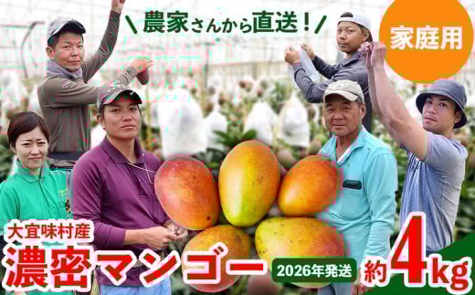 【2026年発送】ご家庭用!濃密マンゴー《家庭用・約4kg》農家さんより直送! 家庭用 先行予約 沖縄 甘味 糖度 濃厚 おいしい お土産 まんごー アーウィン 果物 くだもの 果実  ふるさと納税