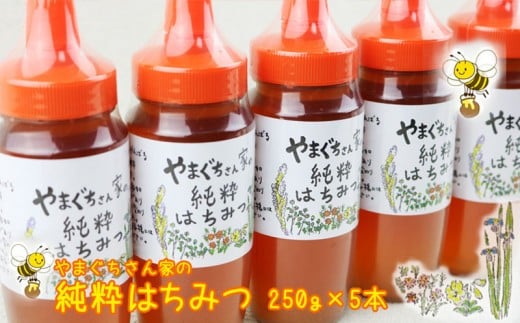 やまぐちさん家の純粋はちみつ〈250g×5本セット〉沖縄県大宜味村39000鍋セット・総菜・加工食品ジャム・はちみつ