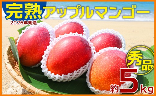 【2026年発送】大ボリューム完熟アップルマンゴー秀品・約5kg農園から直送! 秀品 先行予約 沖縄 甘味 糖度 濃厚 美味しい お土産 おいしい ギフト とろける甘さ 香り アーウィン 果汁 高級