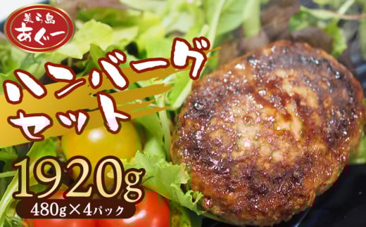 【美ら島あぐー】ハンバーグ4個入り 1920g(480g×4パック) 合計16個 あぐー 黄金比率 沖縄 大宜味村 豚肉 小分け 国産 おつまみ こだわり ぶた アグー 加工品 おいしい 美味しい 取り寄せ 肉