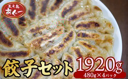 【美ら島あぐー】 餃子セット 1920g 【480g×4パック】 あぐー もっちり 沖縄 大宜味村 豚肉 小分け 国産 おつまみ こだわり ぶた アグー 加工品 おいしい 美味しい 取り寄せ 肉 豚 冷凍 ま