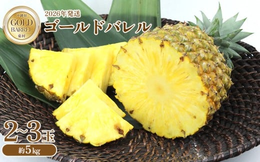 東村産 ゴールドバレルパイン2(2〜3玉・約5kg)【2026年発送】 ゴールドバレル パインアップル パイナップル パイン 国産パイン 国産 生産量日本一 ゴールドバレルパイン 甘い おいしい 希