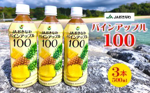 JAおきなわ パインアップル100(PET500ml)3本セット パインアップル パイナップル ぱいなっぷる パイン パインジュース ぱいん 安心 甘酸っぱい パインストレート ソーダ割 南国フルーツ 爽