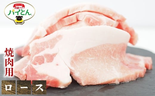 アグー豚 パイとん 焼肉用【ロース】600g あぐー アグー あぐー豚肉 アグー肉 ロース肉 パイとん 真空パック 選べる ブランド豚 パイン 焼肉 肉巻き 豚汁 沖縄北斗 とんかつ 沖縄の豚肉 ヤ
