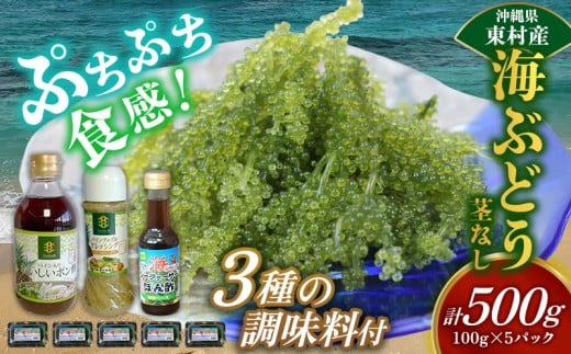 美ら海 沖縄県産 海ぶどうセット/茎なし500g(100g×5パック)&調味料3種セット 海ブドウ 海ぶどう うみぶどう パック 茎なし ポン酢 ドレッシング たれ付き クビレズタ 海鮮 海藻 プチプ