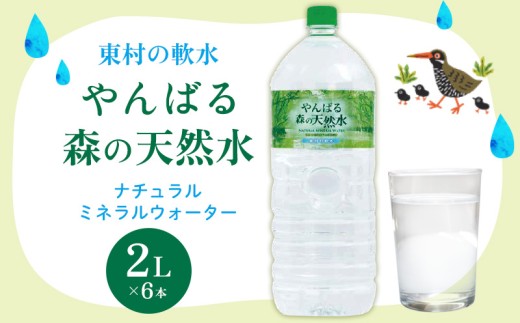東村の軟水【やんばる 森の天然水】ナチュラルミネラルウォーター 2L×6本 天然水 ミネラルウォーター 水 ソフトドリンク 飲料水 軟水 東村の水 天然水 お水 ヤンバルの水 やんばる ヤンバ